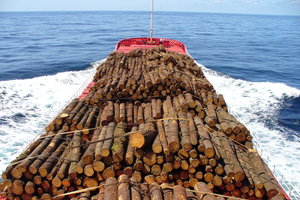 Your cargo Your cargo
